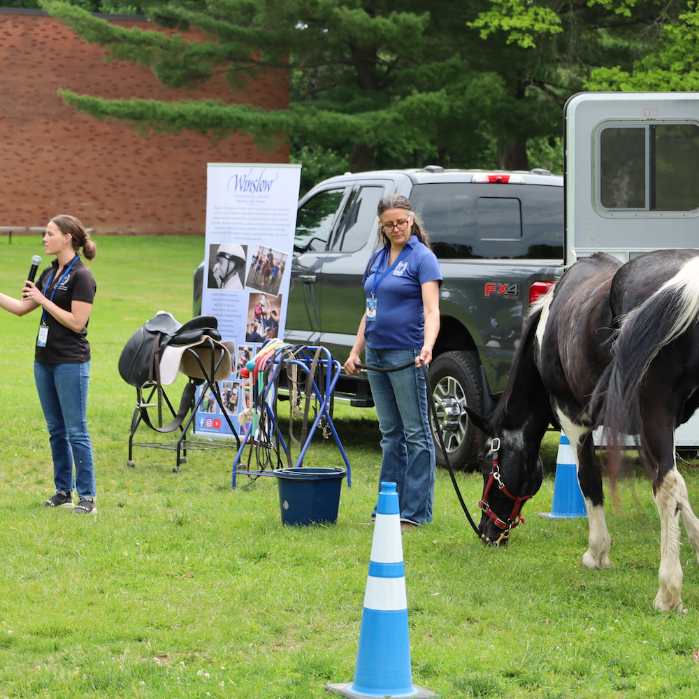 two people standing by a horse with blue cones