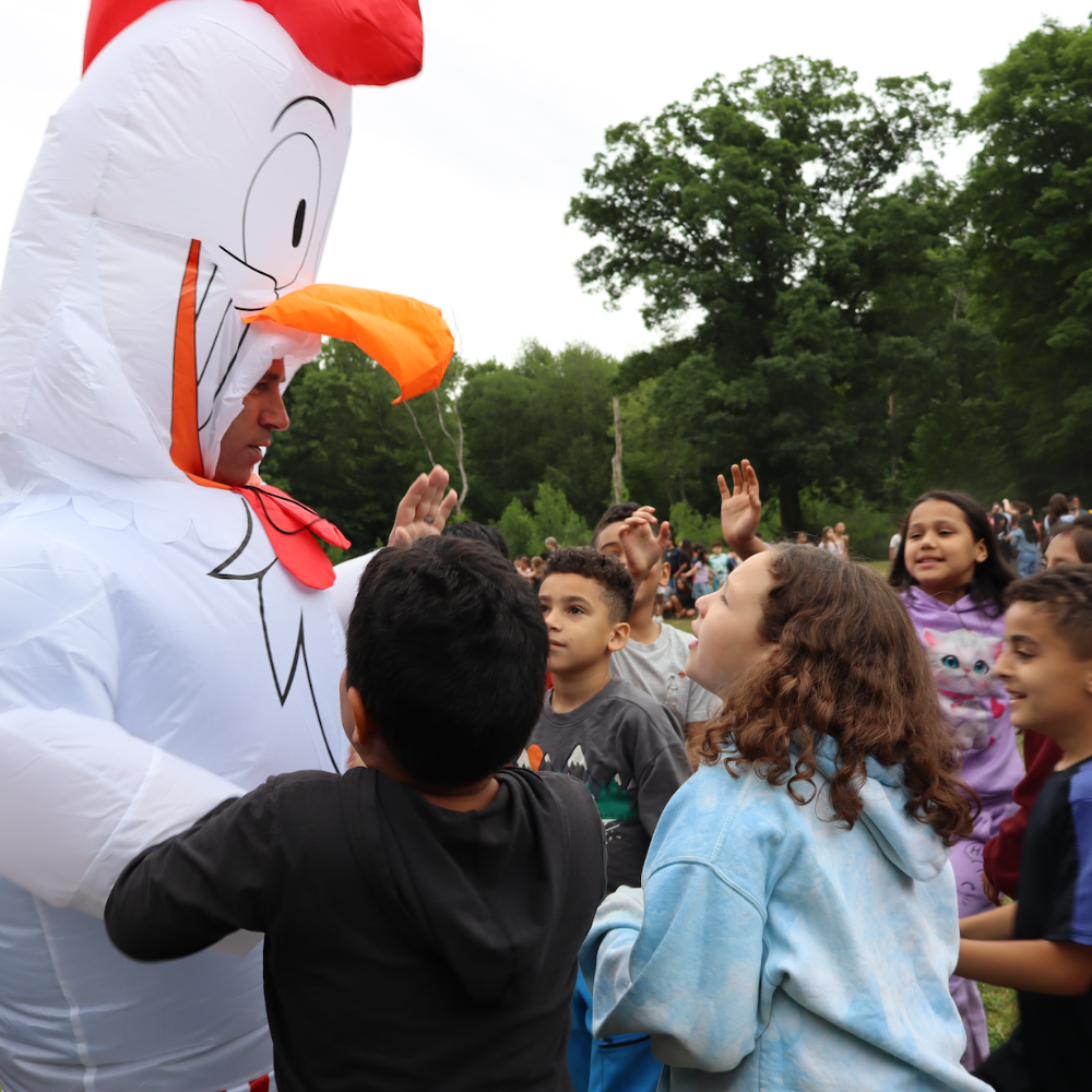 person wearing a giant chicken costume
