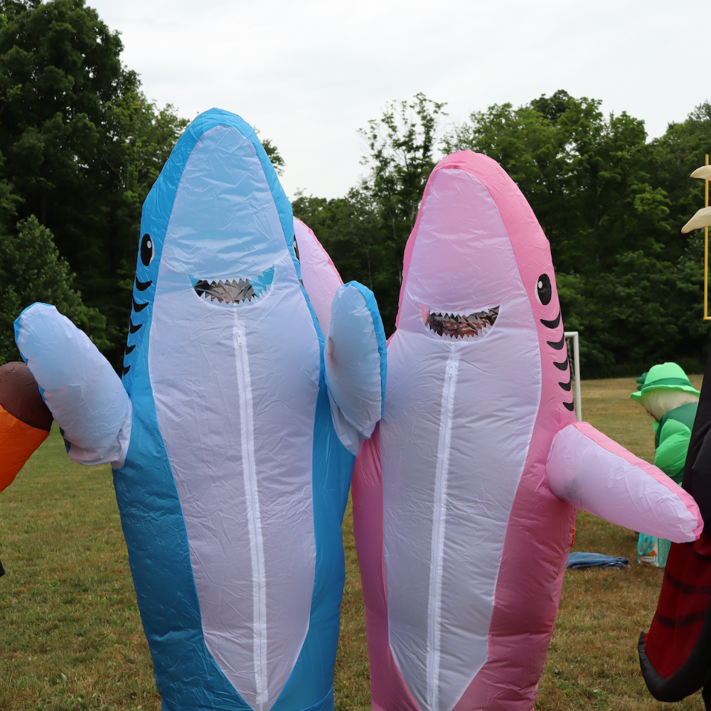 two people in blue and pink shark costume