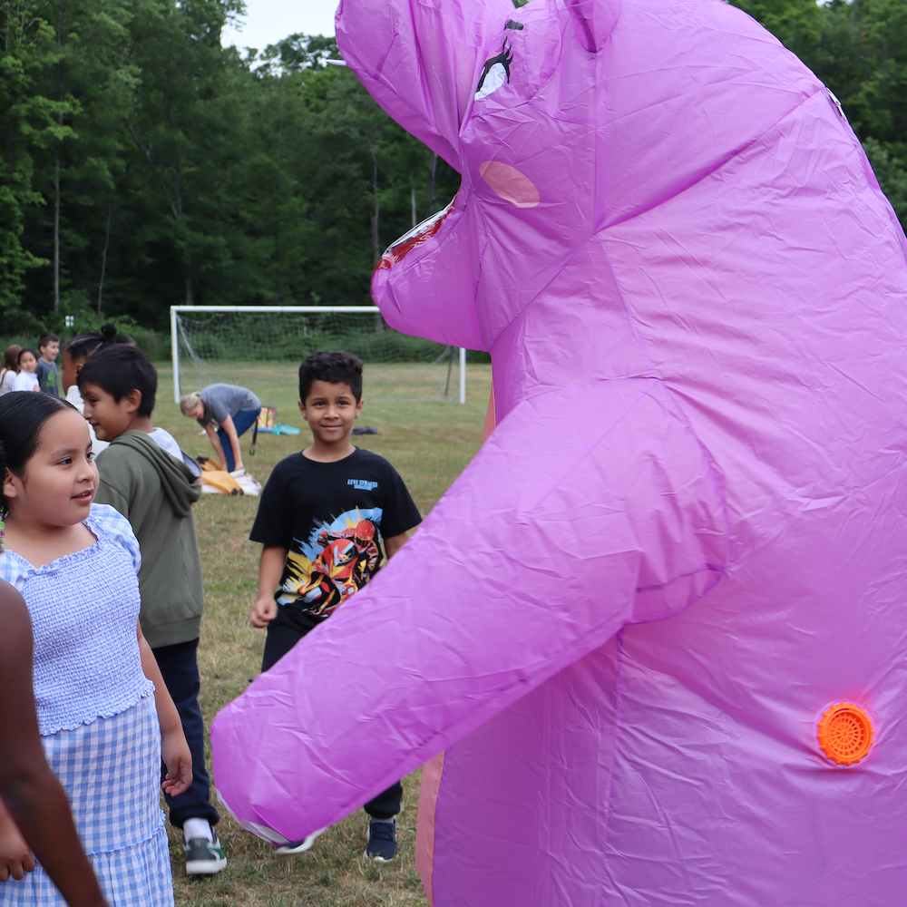 purple hippopatamus costume