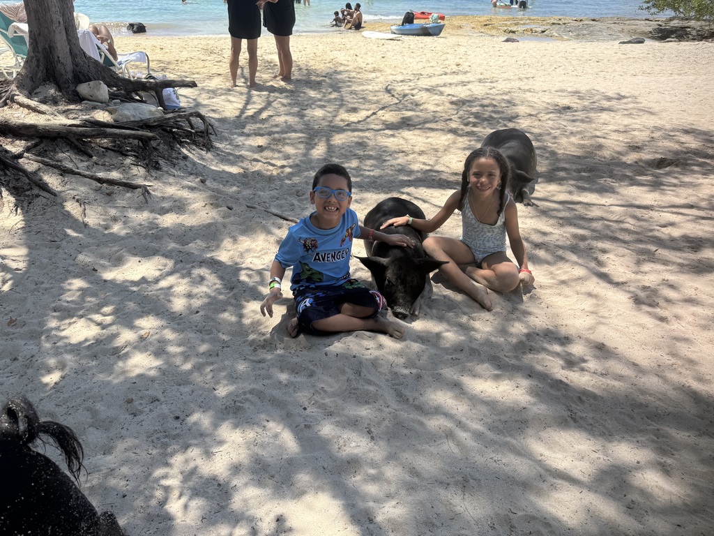 students with pigs on the beach