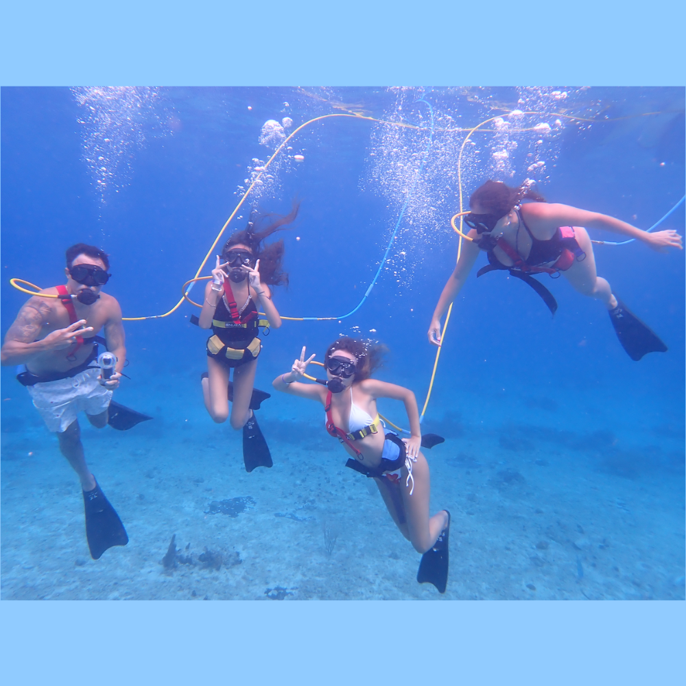 four people swimming underwater