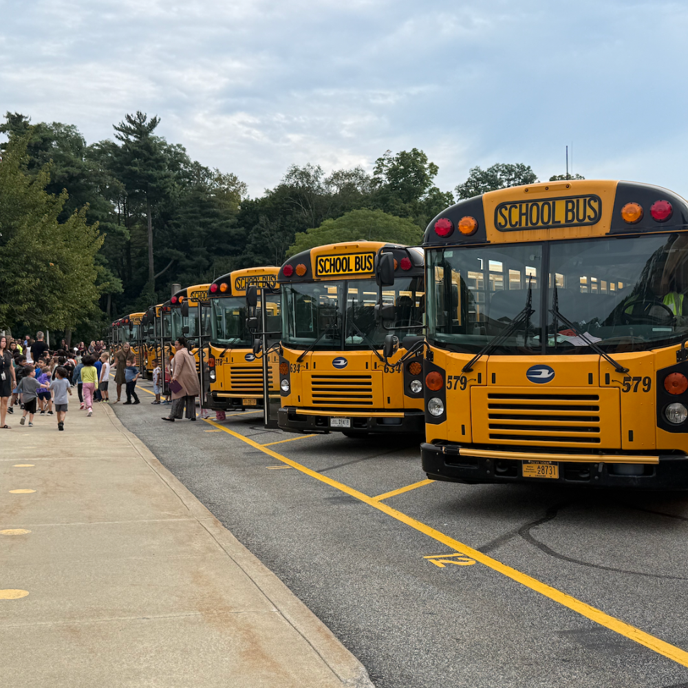 School buses lined up