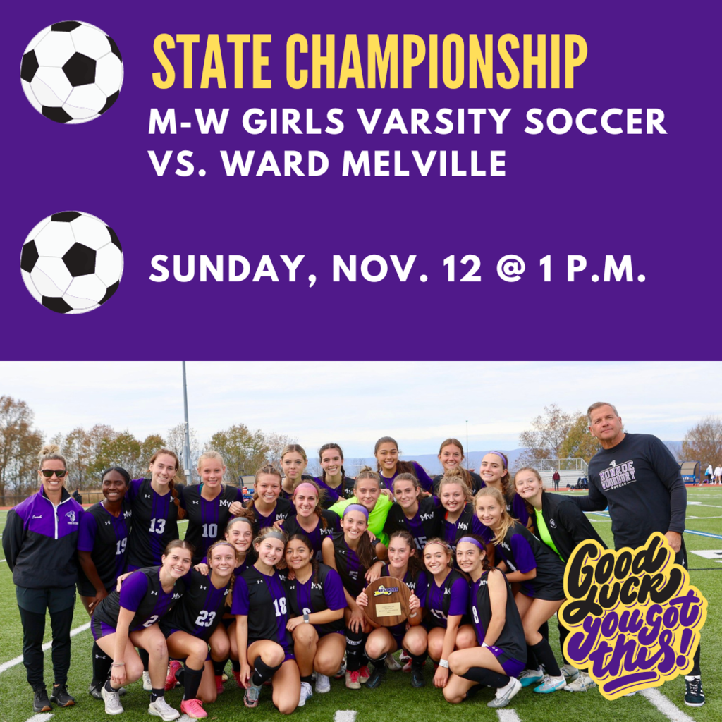 Girls soccer in state championship