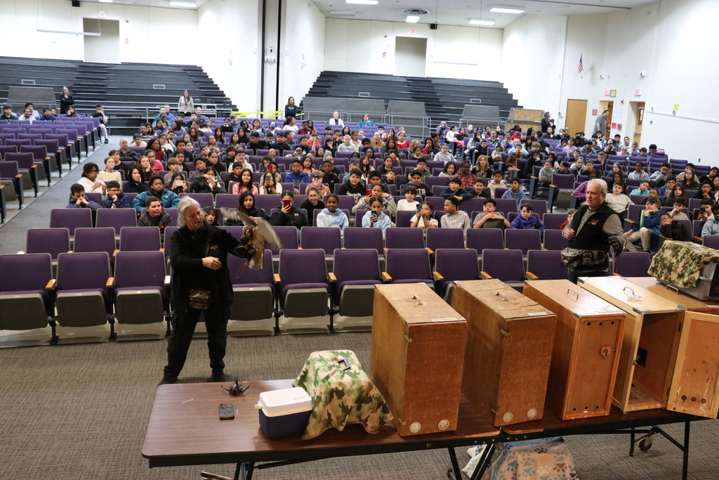 birds of prey presentation