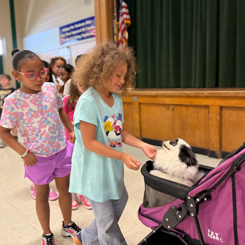 student petting dog in a stroller