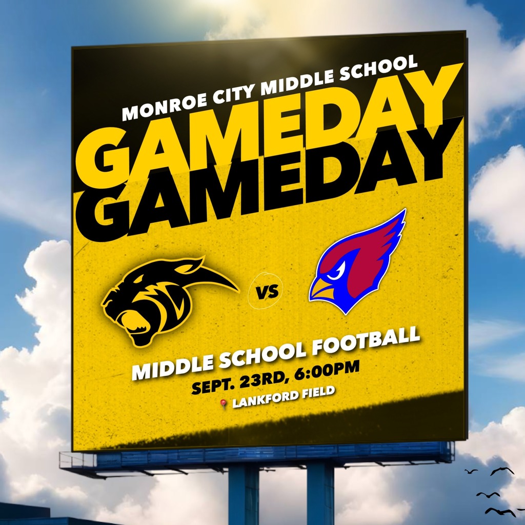 MS FB vs
