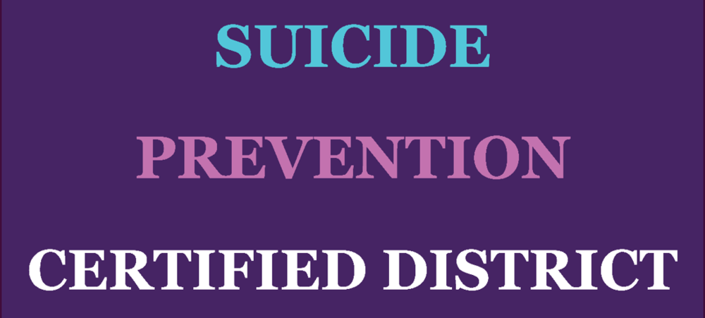 Suicide Prevention flag