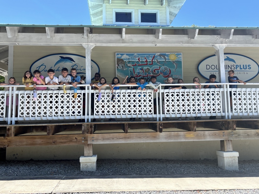3rd Grade Dolphins plus