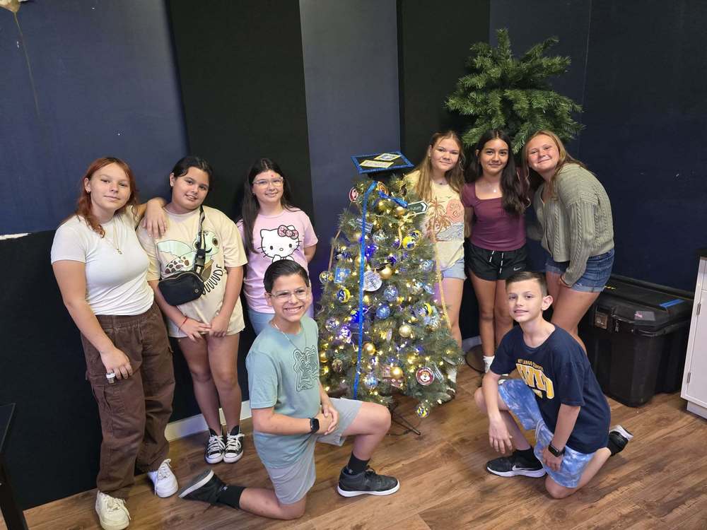 KLS AVID Decorate tree