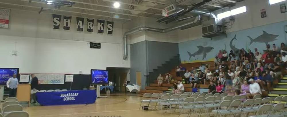 image from video