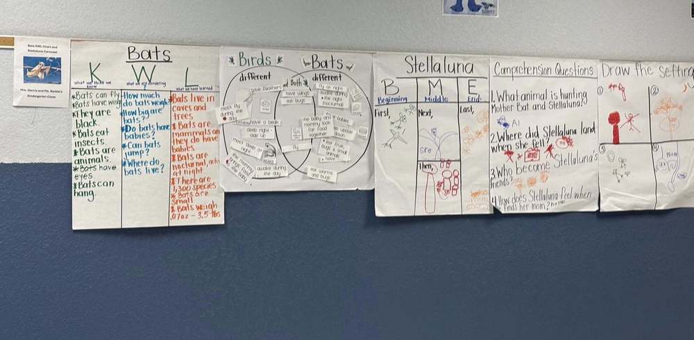 Kinder AVID Carousel Stellaluna