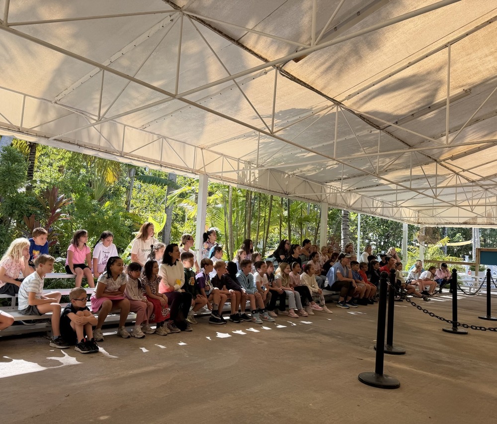 parrot show at theater of the sea