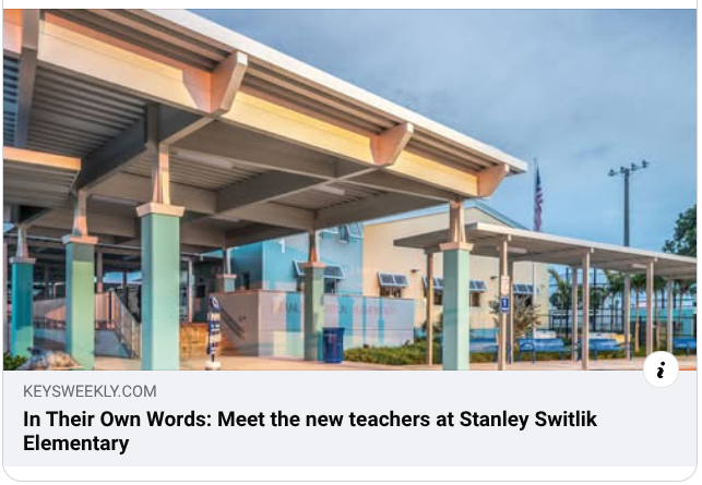 New Teachers profiled in newspaper