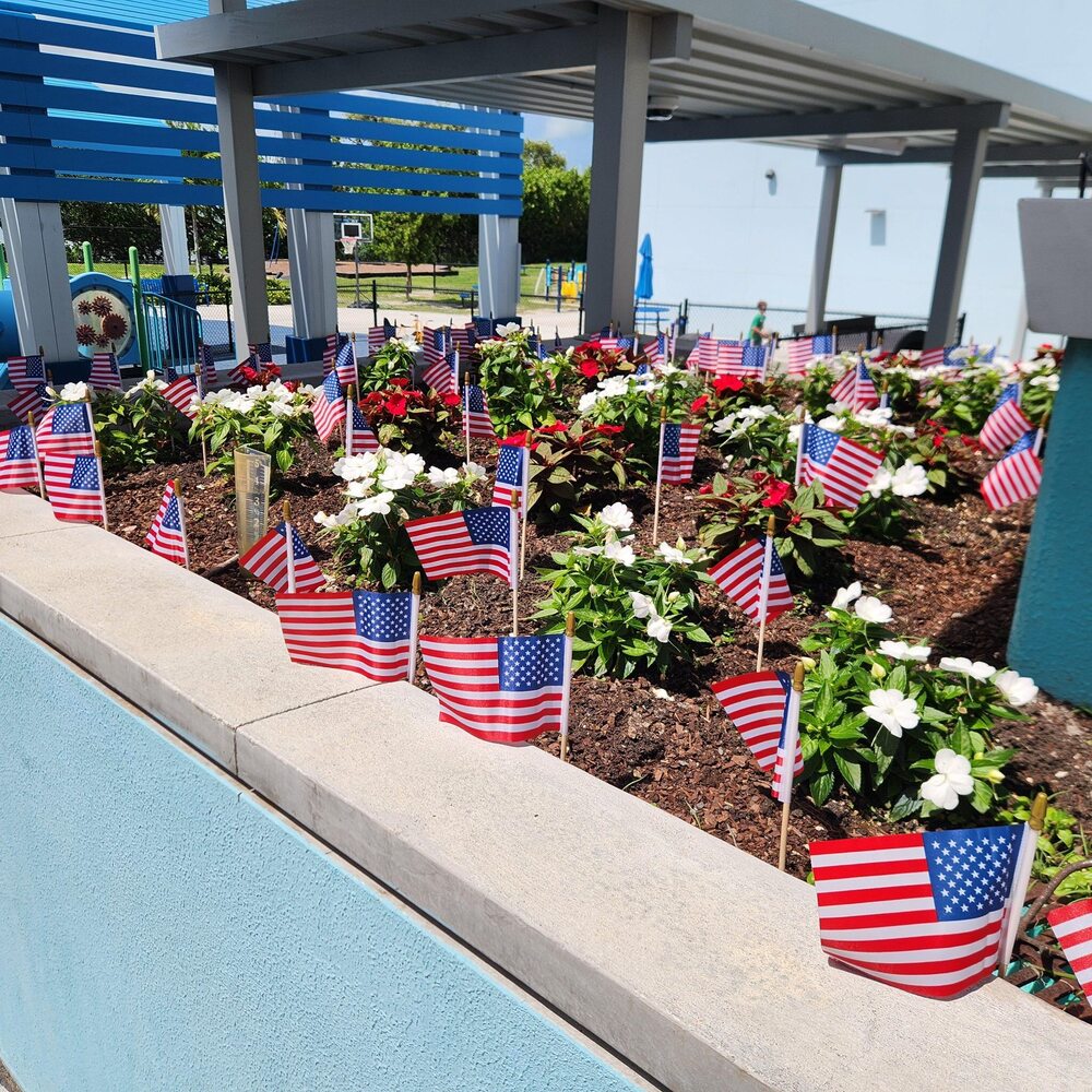 Flags in a garden for memorial day