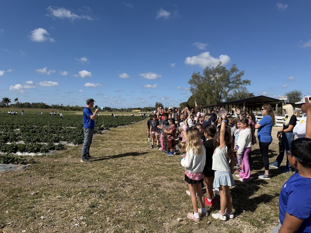 BerryFarms 2nd Grade