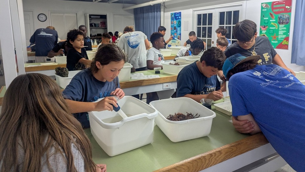 Students at Marinelab