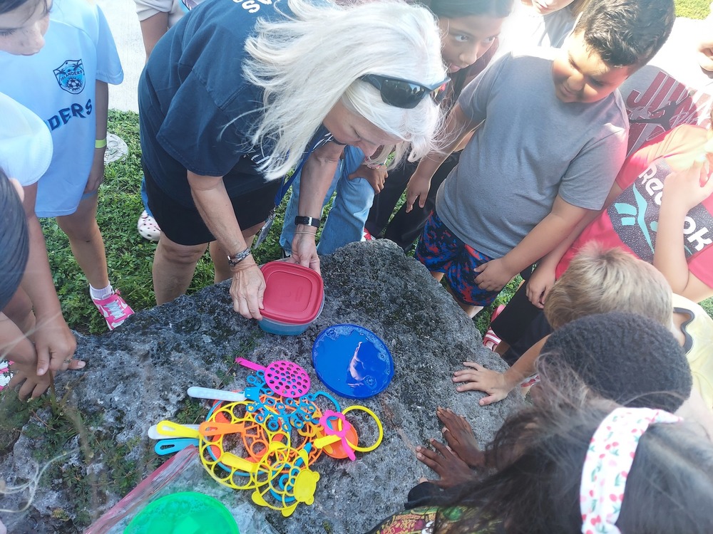 Bubbles and sciencew