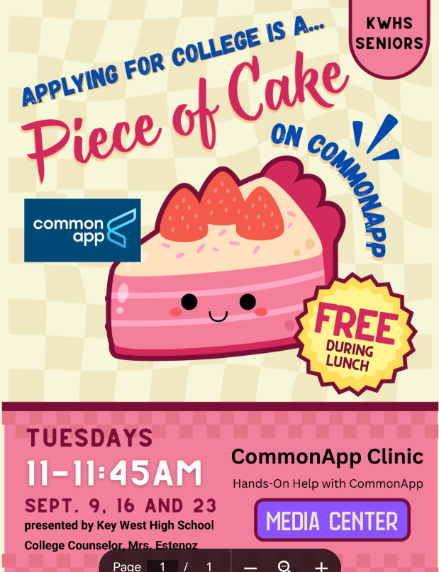 CommonApp Clinic