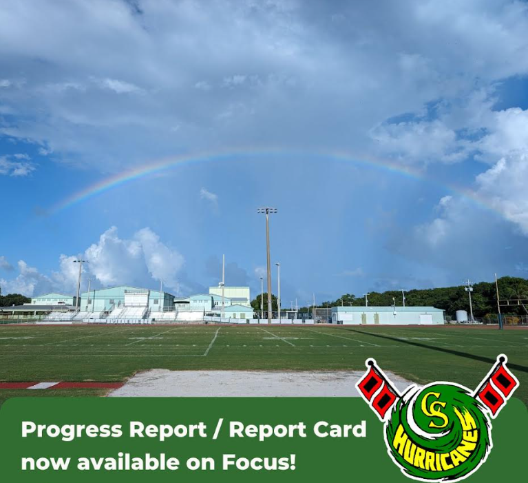 Progress Report