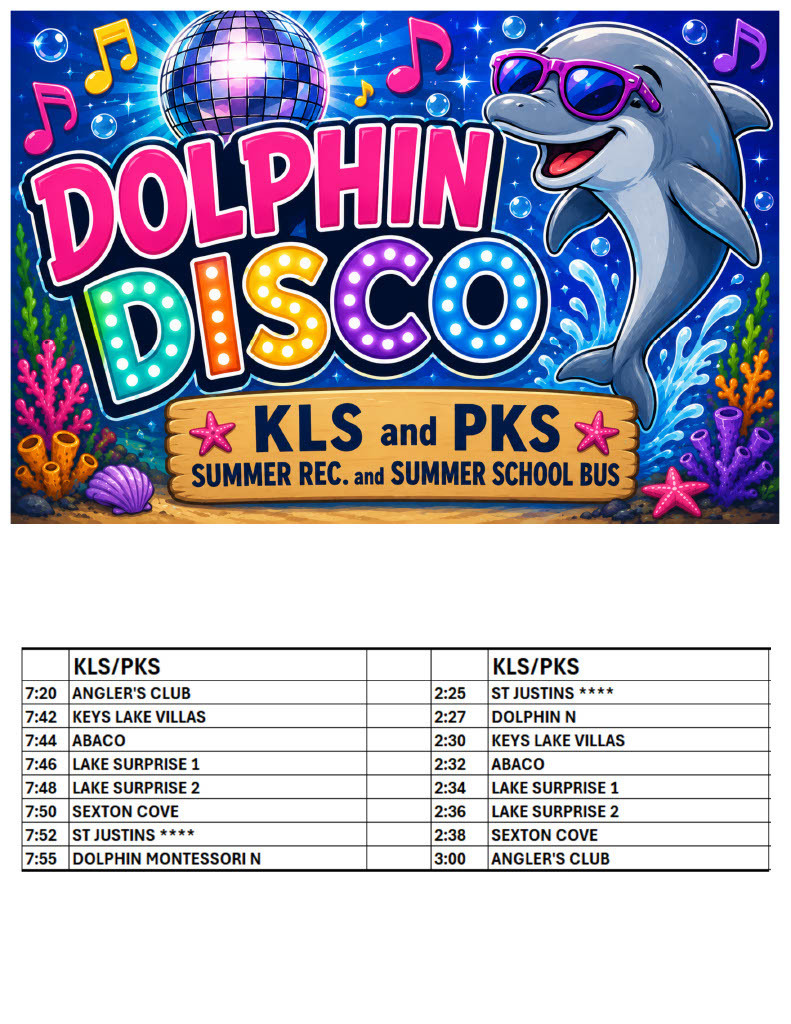 Dolphin Disco Bus