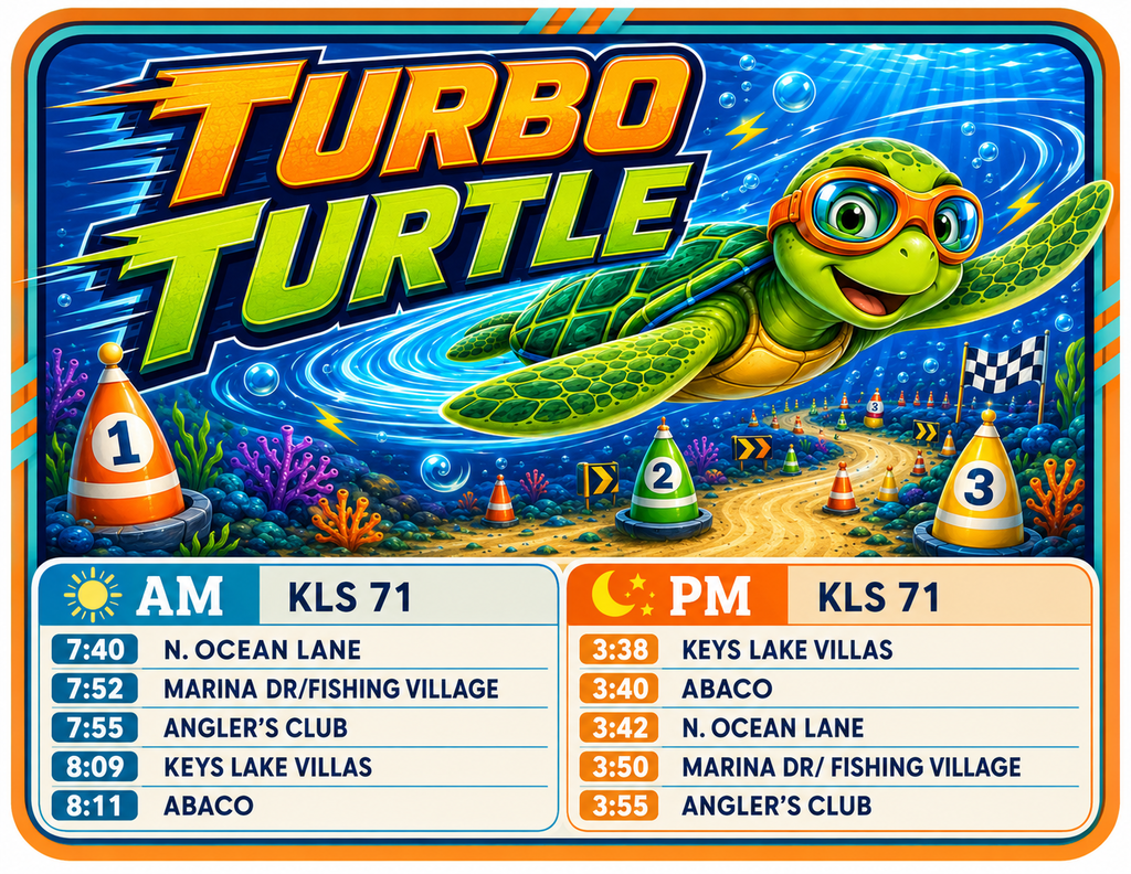 Turbo Turtle