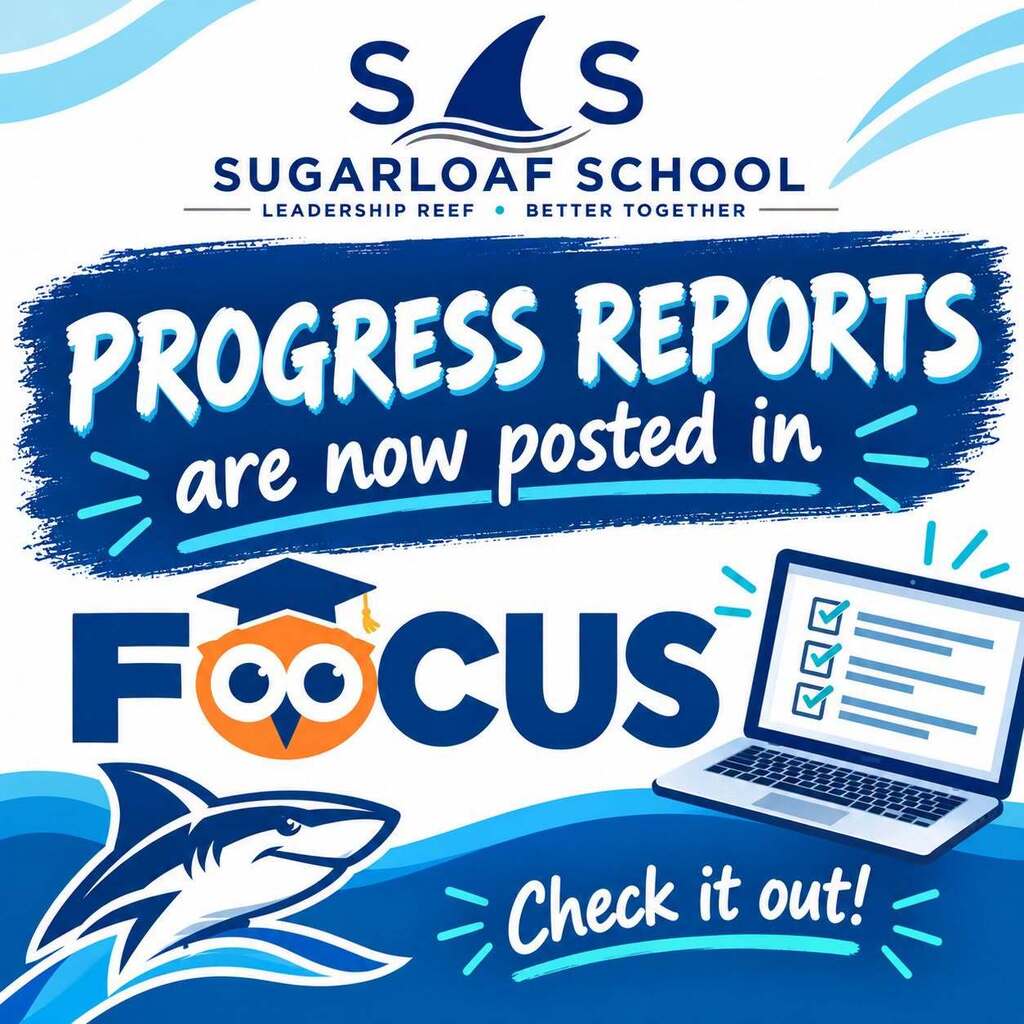 Progress Reports are now posted in FOCUS