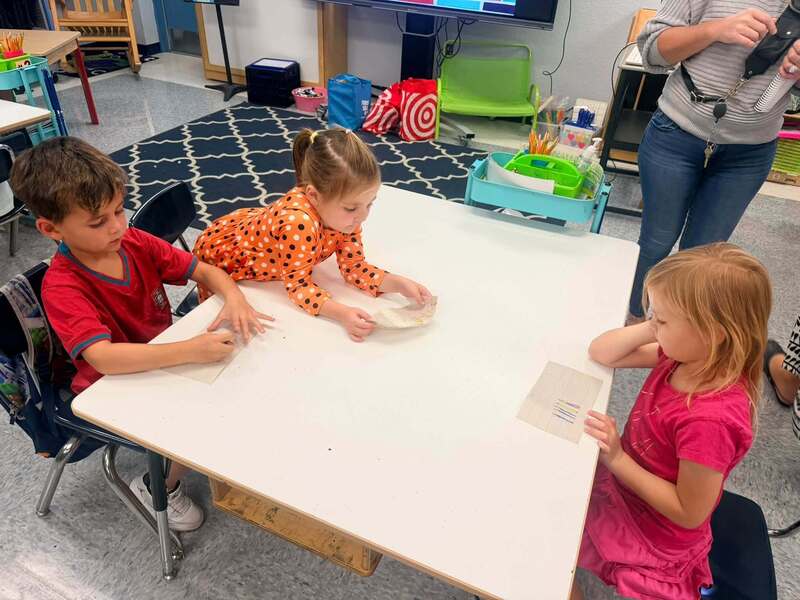 Young students engaged in learning