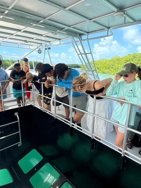 viewing the water from the glass bottom boat
