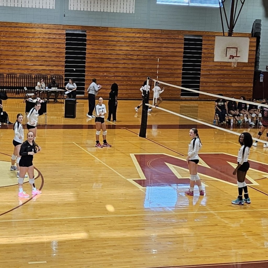 Lady Dogs ready for play.