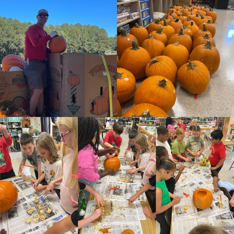twin oaks pumpkin donation