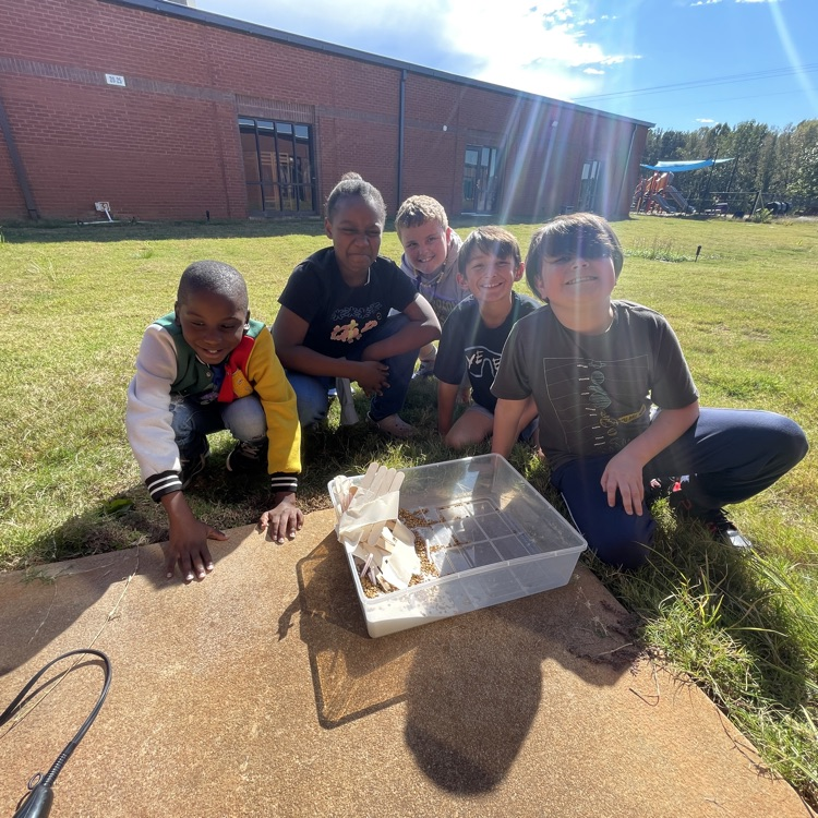 Students showing off the structure they built to protect peanut erosion