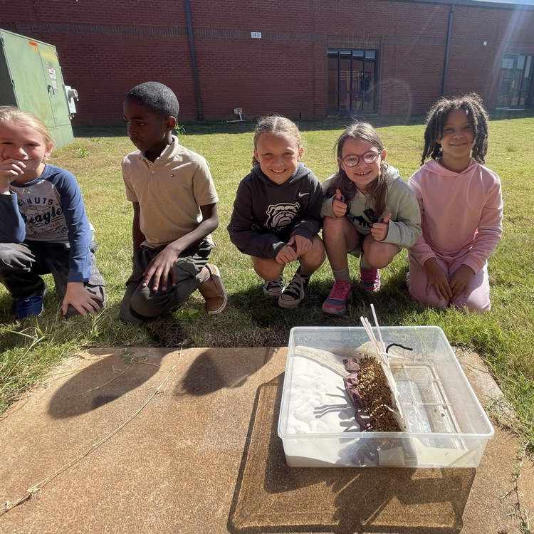 Students showing off the structure they built to protect peanut erosion