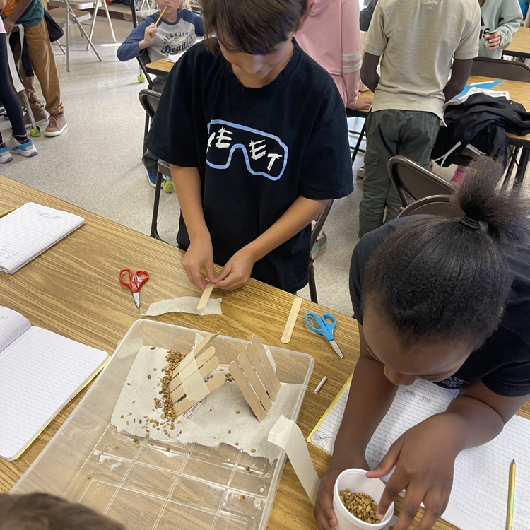 Students showing off the structure they built to protect peanut erosion