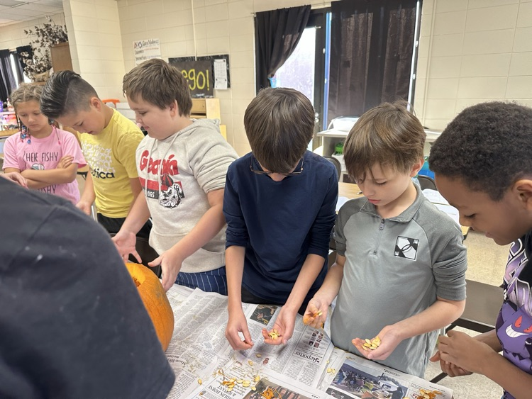5th grade students counting pumpkin seeds