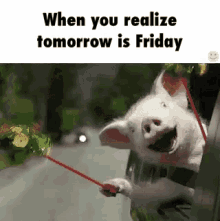 Happy pig