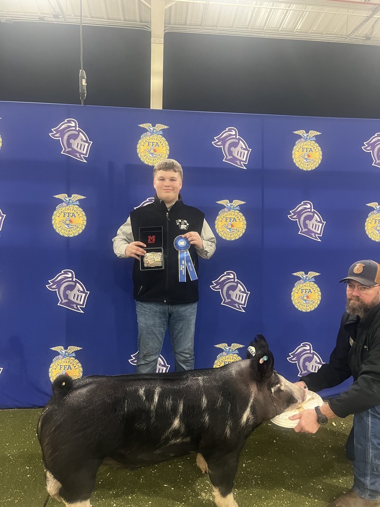 Pig Show winner