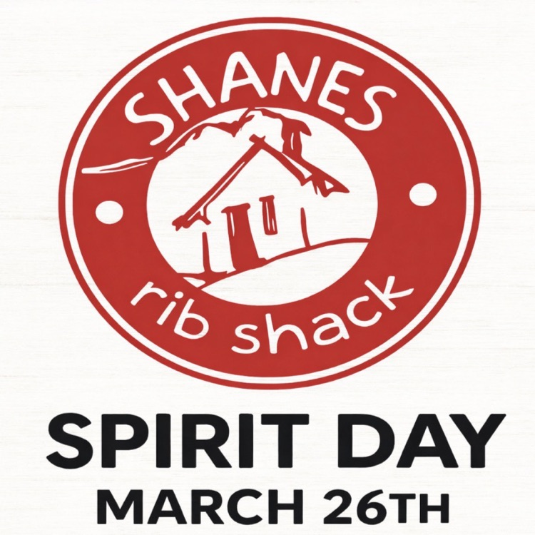 Shane's spirit day ad