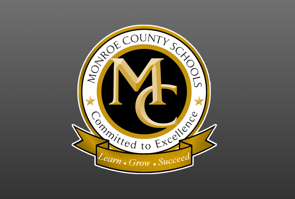 MCS logo on gray background