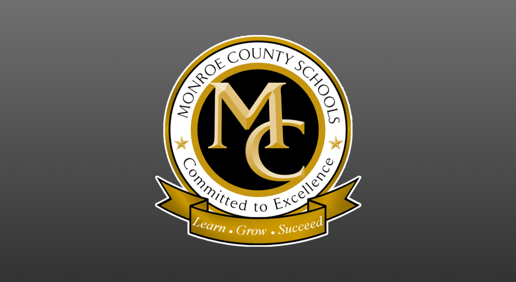 MCS logo on gray background