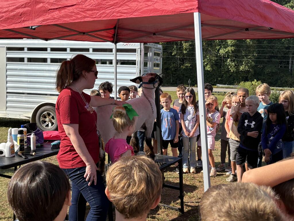 Mrs. Davis teaching students about lambs.
