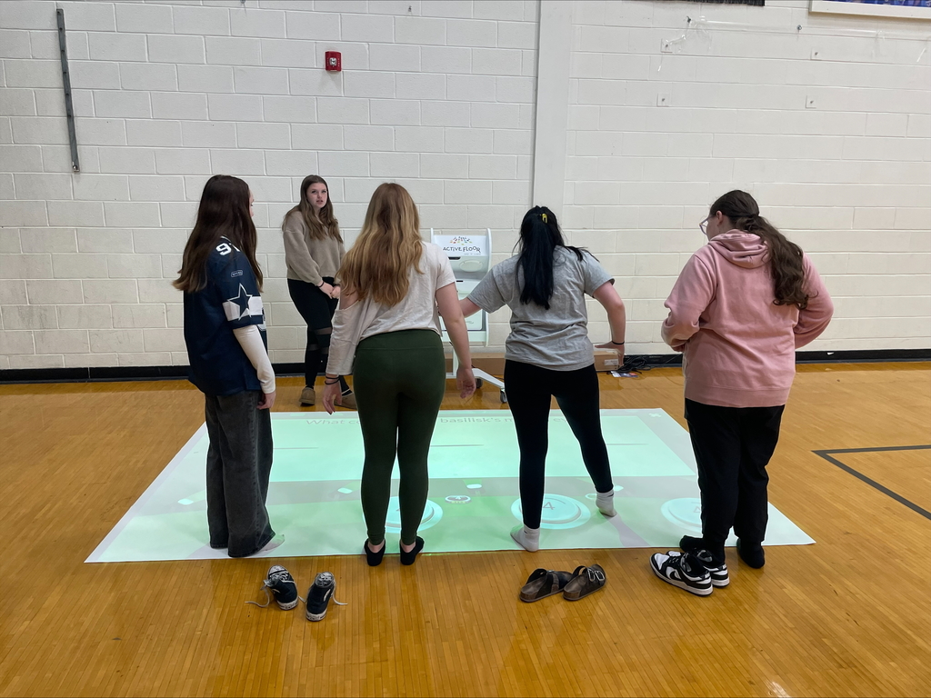 Mrs. Wilson's PE Class
