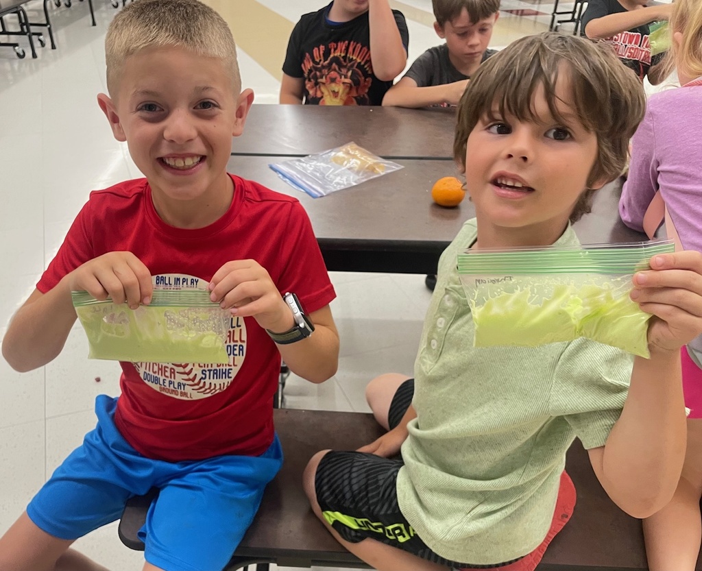 From squishy science with oobleck to decorating bird houses and crafting stained glass butterflies, our summer school students are mixing creativity with learning this summer!