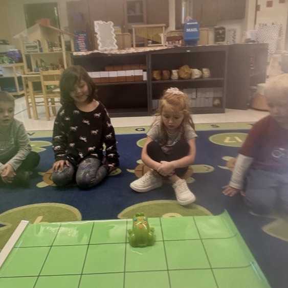 PreK Frog E