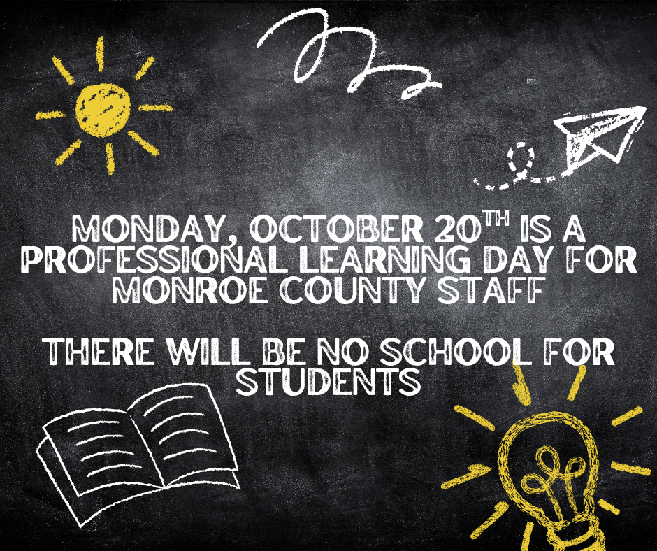 Professional Learning Day
