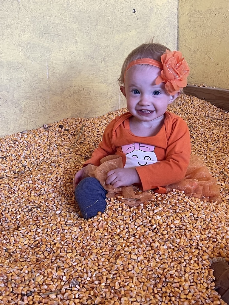 EHS enjoyed a trip to the Sunset View Pumpkin Patch .