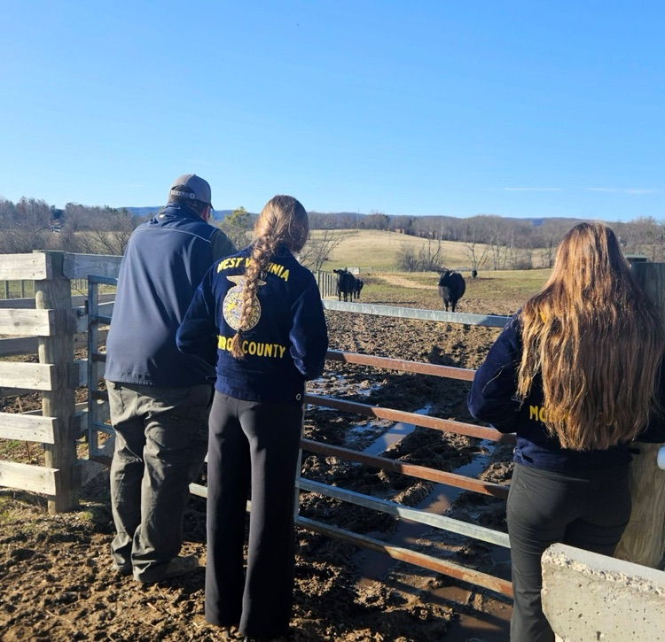Monroe County FFA Stockman’s Team competed at the Virginia Tech Block and Bridle Event