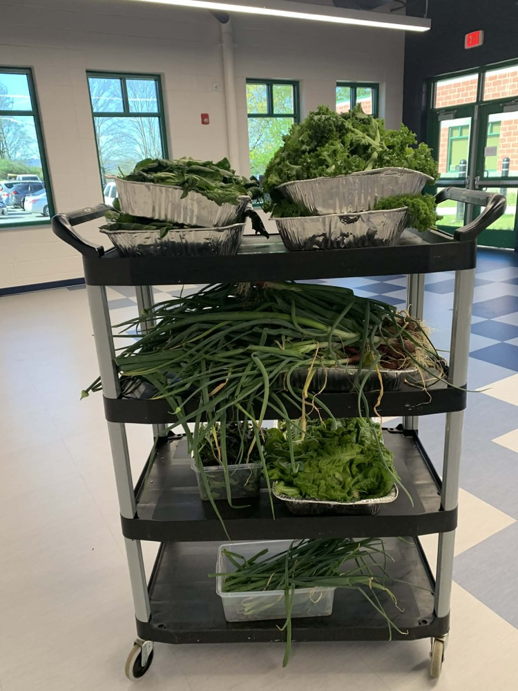 Fresh vegetables that were grown at Mountain View and used for lunch. 