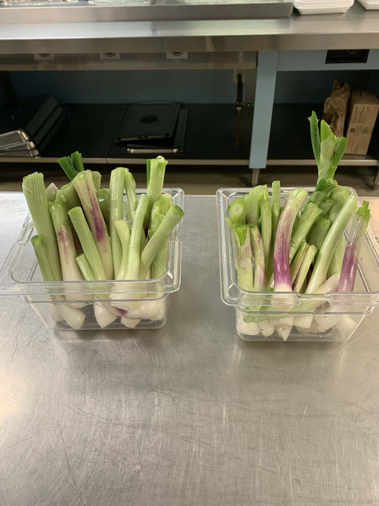 Fresh vegetables that were grown at Mountain View and used for lunch. 
