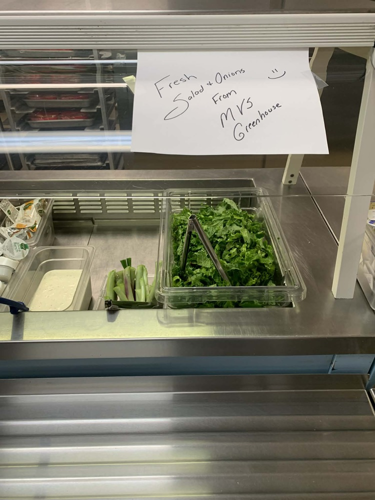 Fresh vegetables that were grown at Mountain View and used for lunch. 